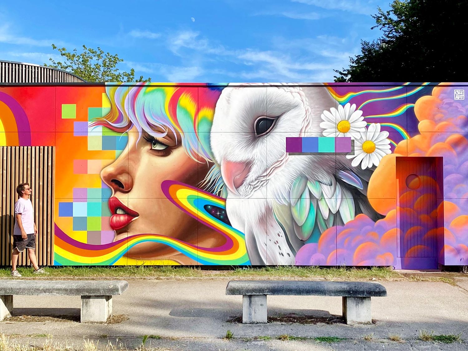 En apportant de la couleur à nos centres urbains, les fresques murales embellissent les lieux publics avec une touche artistique unique et agissent comme des repères pour les passants (©Céz Art).