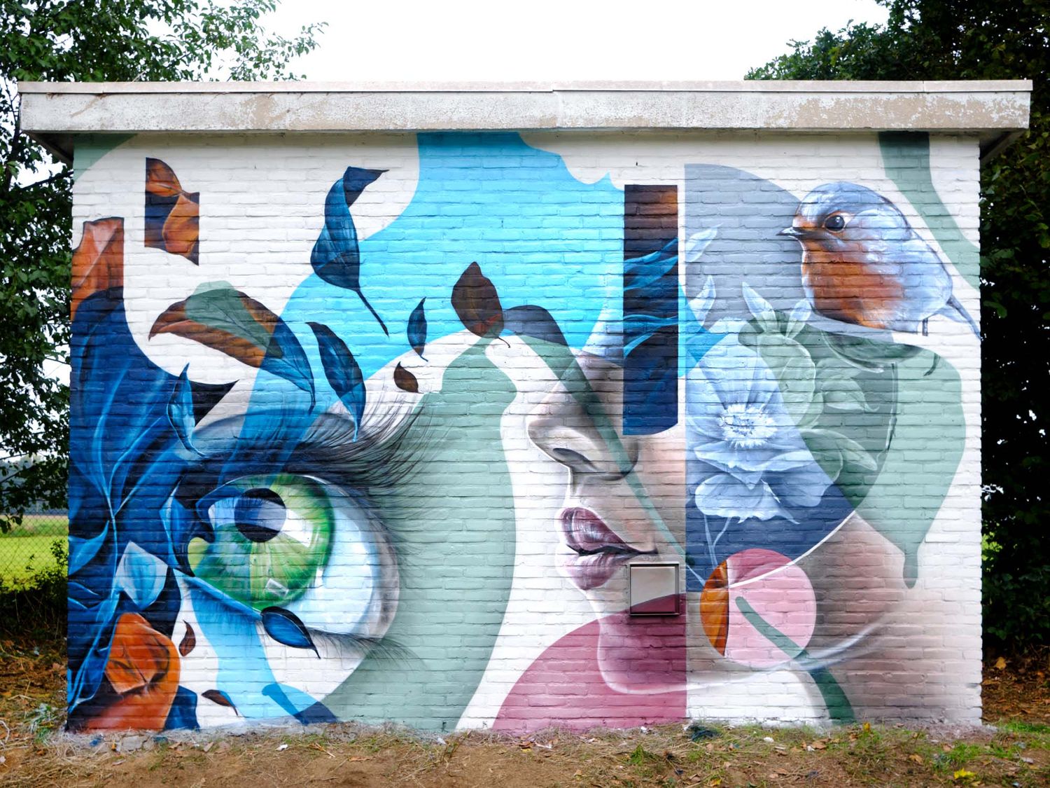On top of eyes and hands, Gomad has also includes elements from the nature like flowers as a reference to the climate change and pollution, here a small mural in the artist’s hometown of Sittard.