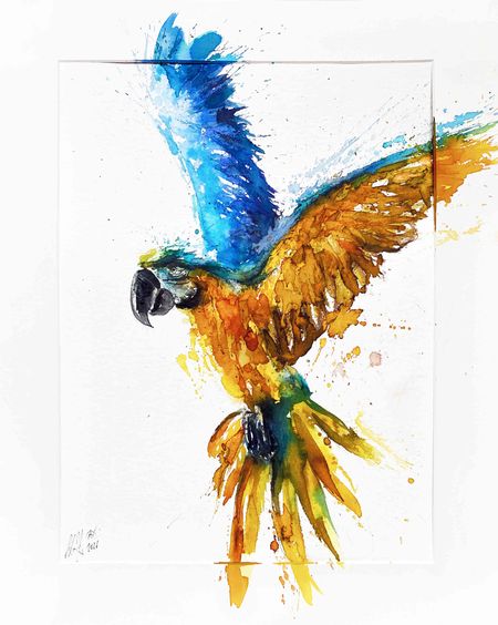 Sax - Ara Bleu (Papier)