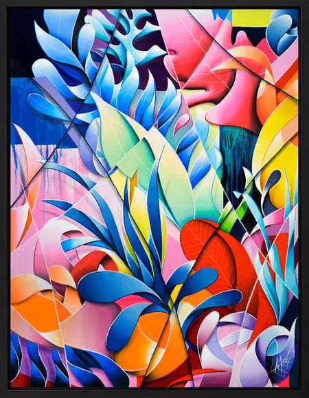 Amaury Dubois - Asplenium