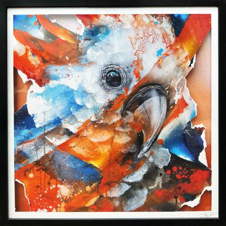 Daniel Mac Lloyd - Cockatoo