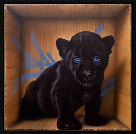 Dave Baranes - Fragile