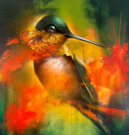 Daniel Mac Lloyd - Hummingbird