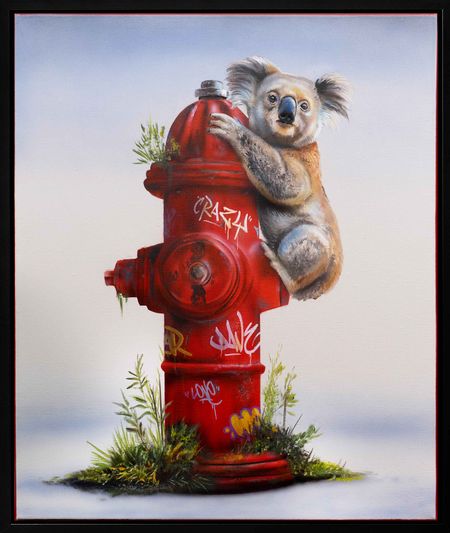 Dave Baranes - Last Refuge