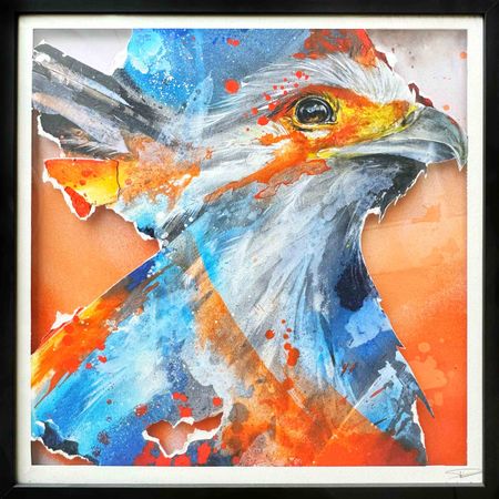 Daniel Mac Lloyd - Secretary Bird