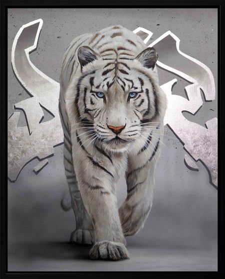 Dave Baranes - Silver