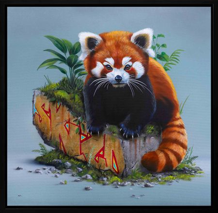 Dave Baranes - Skizo