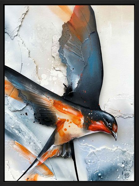 Daniel Mac Lloyd - Soar #1