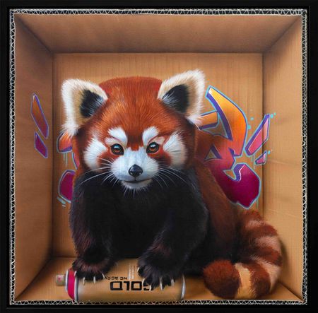 Dave Baranes - The Rouky