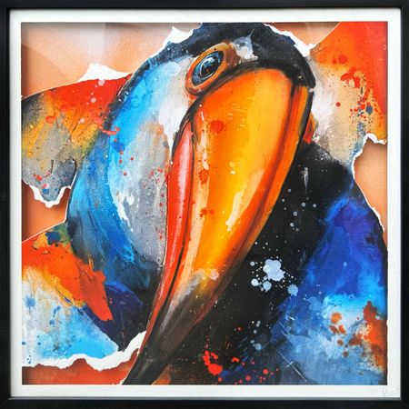 Daniel Mac Lloyd - Toucan